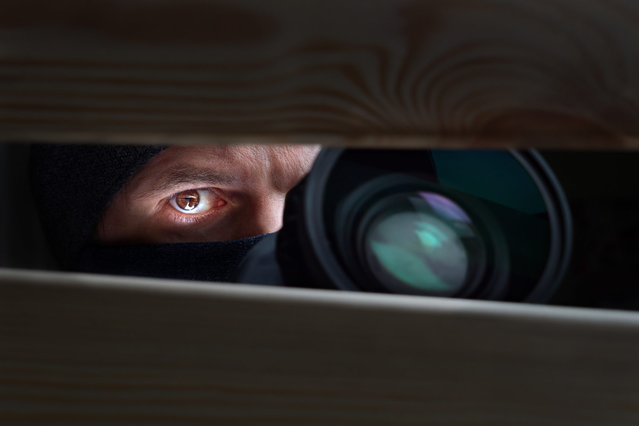 Concealed observer with camera through slats